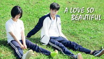 A Love So Beautiful (2017)